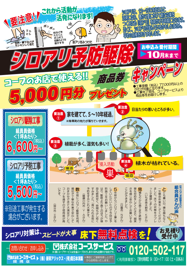2204 しろあり駆除
