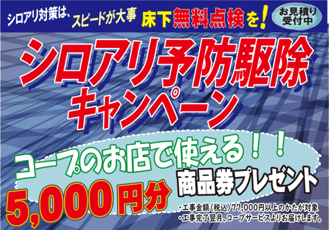 2304 しろあり