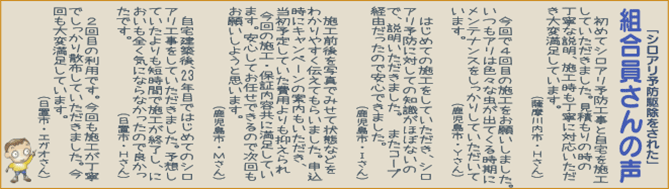 2304 しろあり