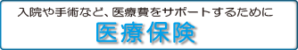 医療保険ボタン